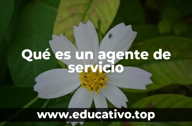 Qué es un agente de servicio