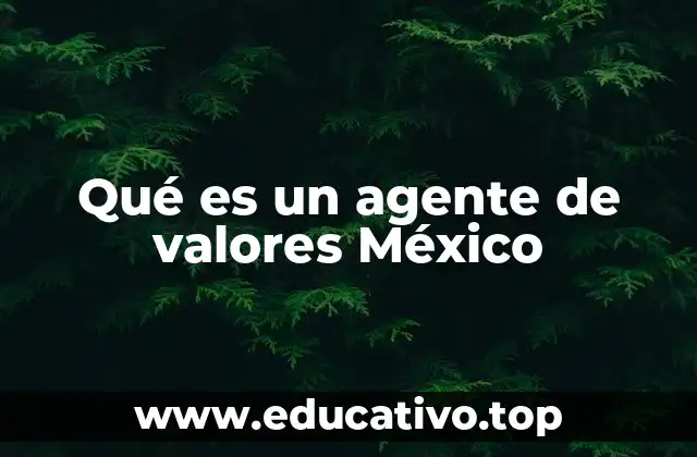 Qué es un agente de valores México
