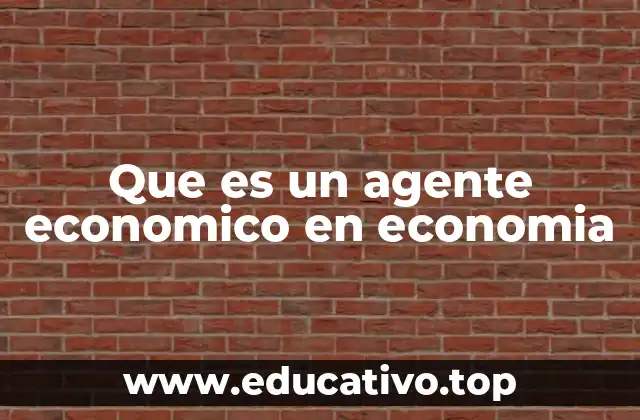 Que es un agente economico en economia