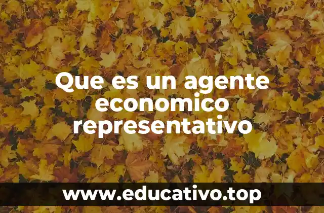 Que es un agente economico representativo