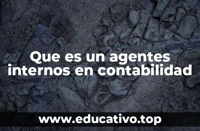 Que es un agentes internos en contabilidad