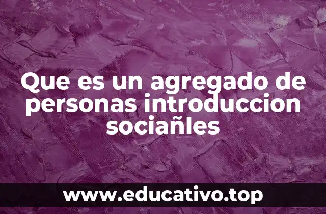 Que es un agregado de personas introduccion sociañles