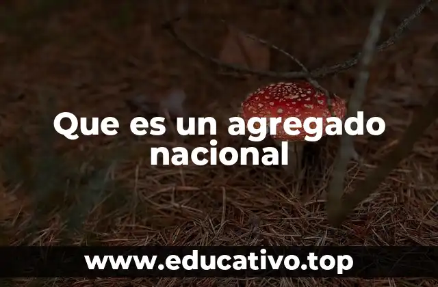 Que es un agregado nacional