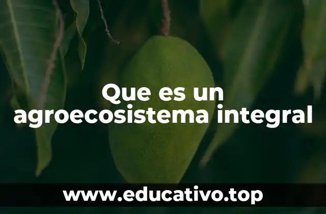 Que es un agroecosistema integral