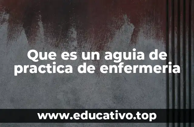 Que es un aguia de practica de enfermeria