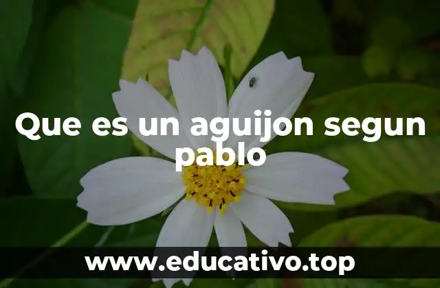 Que es un aguijon segun pablo
