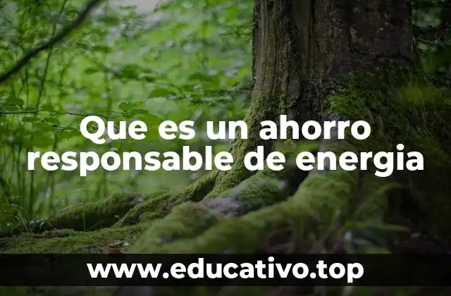 Que es un ahorro responsable de energia