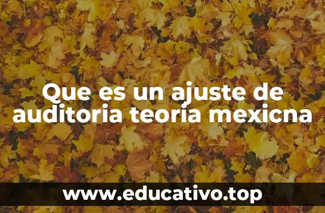 Que es un ajuste de auditoria teoria mexicna