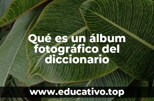 Qué es un álbum fotográfico del diccionario