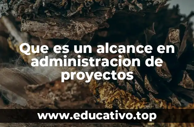 Que es un alcance en administracion de proyectos