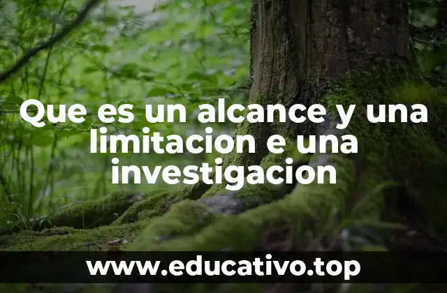 Que es un alcance y una limitacion e una investigacion