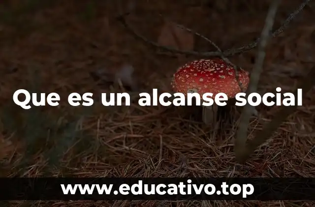 Que es un alcanse social