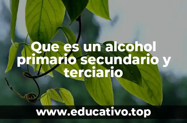 Diferencias entre los tipos de alcoholes según su estructura