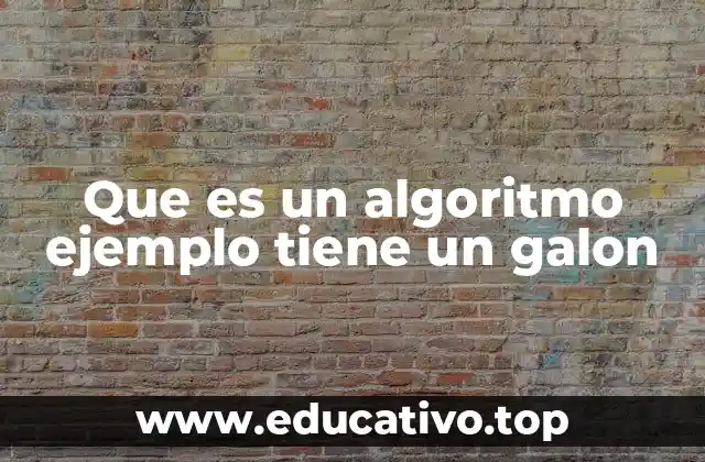 Que es un algoritmo ejemplo tiene un galon