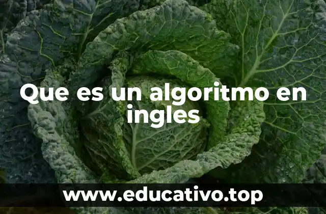 Que es un algoritmo en ingles