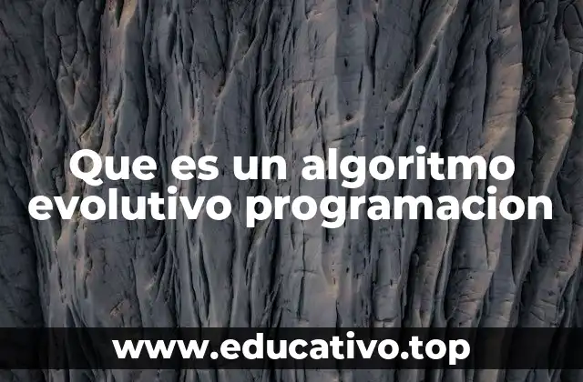 Que es un algoritmo evolutivo programacion