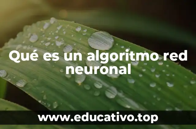 Qué es un algoritmo red neuronal
