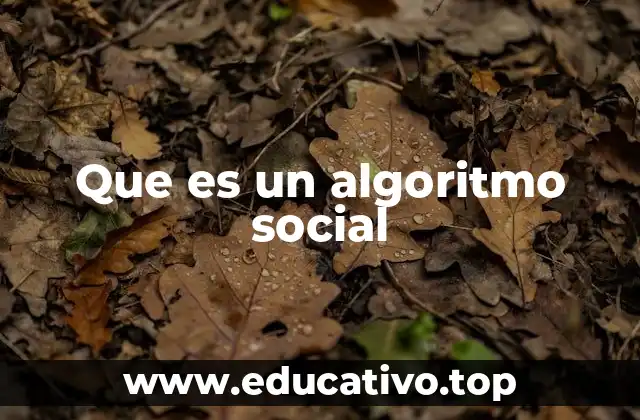 El papel de los algoritmos sociales en la experiencia digital