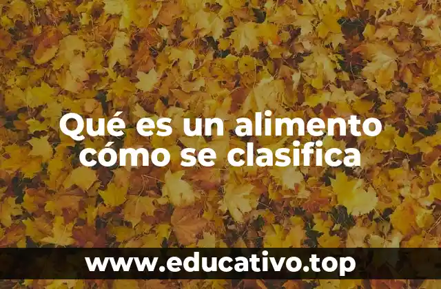 Qué es un alimento cómo se clasifica