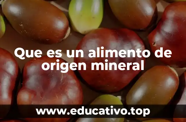 Que es un alimento de origen mineral