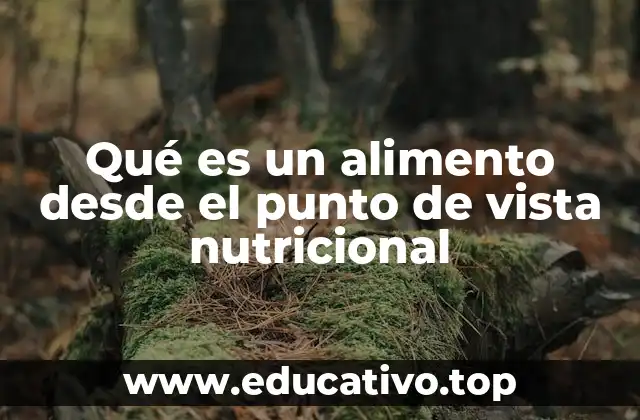 Qué es un alimento desde el punto de vista nutricional