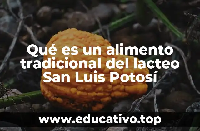 Qué es un alimento tradicional del lacteo San Luis Potosí