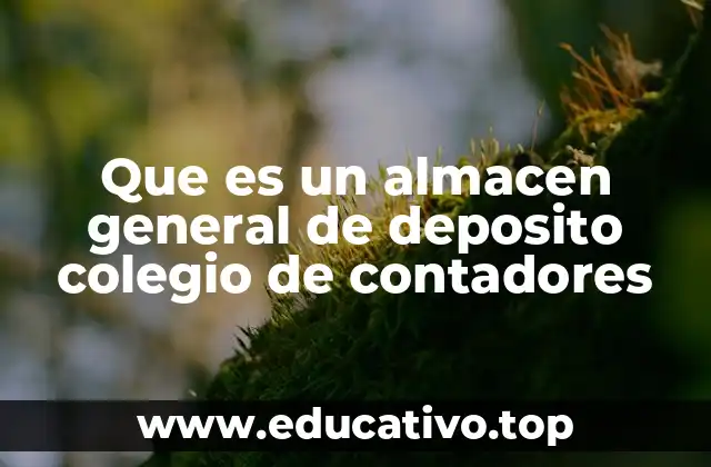 Que es un almacen general de deposito colegio de contadores