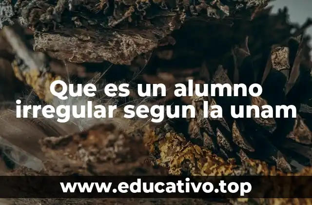 Que es un alumno irregular segun la unam