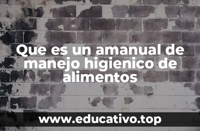 Que es un amanual de manejo higienico de alimentos