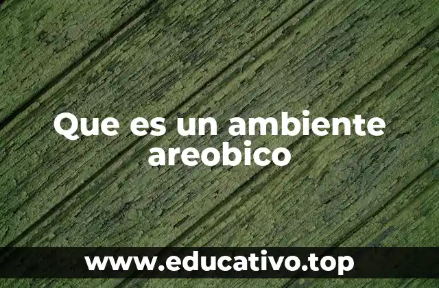 Que es un ambiente areobico
