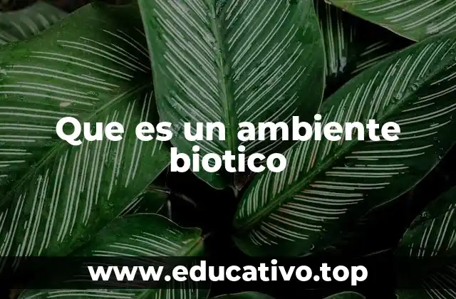 Que es un ambiente biotico