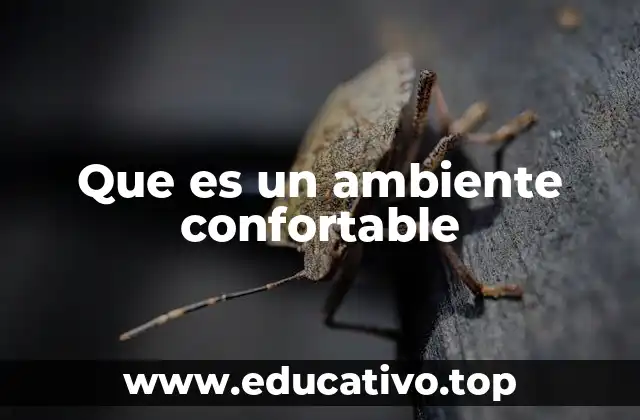 Que es un ambiente confortable