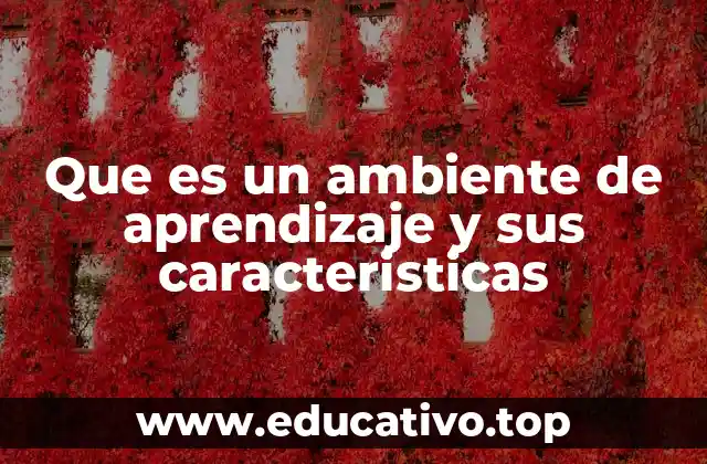 Que es un ambiente de aprendizaje y sus caracteristicas