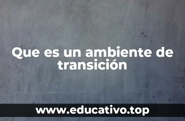 Que es un ambiente de transición