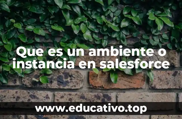 Que es un ambiente o instancia en salesforce
