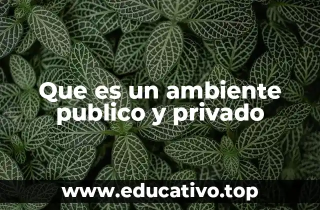 Que es un ambiente publico y privado