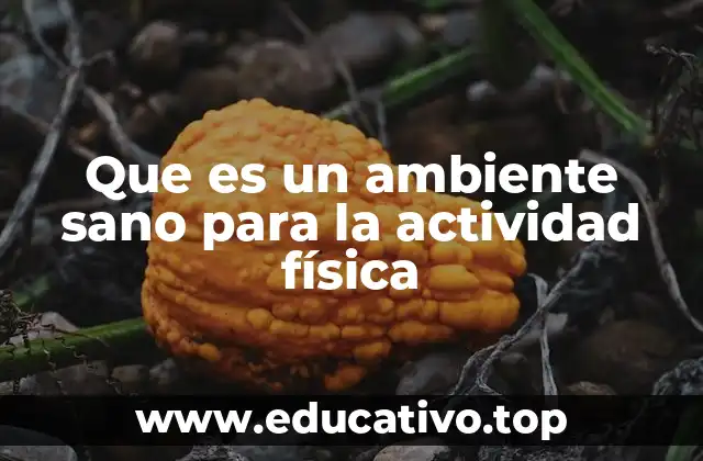 Que es un ambiente sano para la actividad física