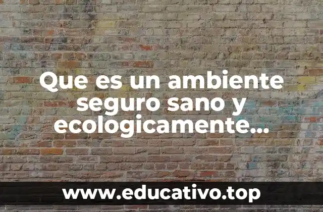 Que es un ambiente seguro sano y ecologicamente equilibrado