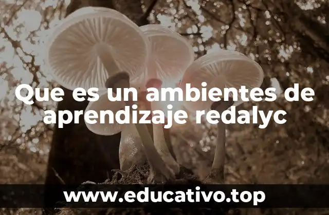 La importancia de los ambientes de aprendizaje en la educación actual