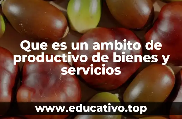 Que es un ambito de productivo de bienes y servicios