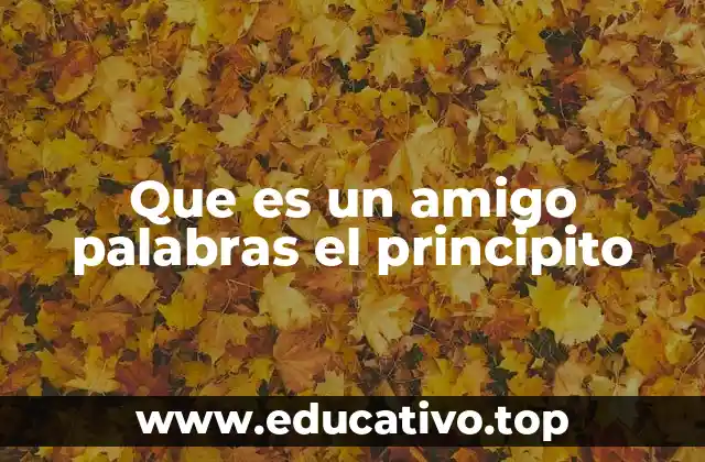 Que es un amigo palabras el principito