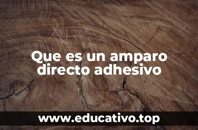 El papel del amparo directo adhesivo en la protección de los derechos humanos