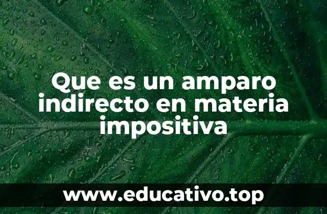 Que es un amparo indirecto en materia impositiva