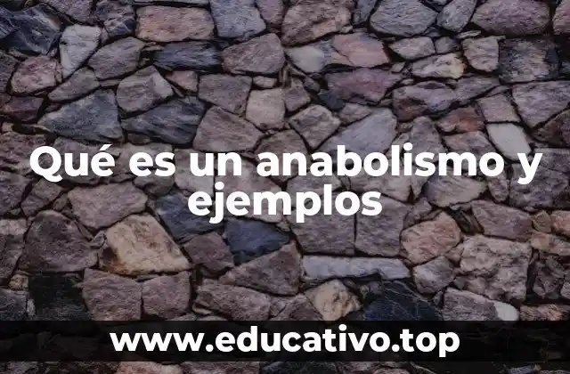 Qué es un anabolismo y ejemplos