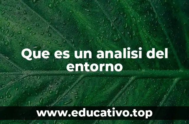 Que es un analisi del entorno