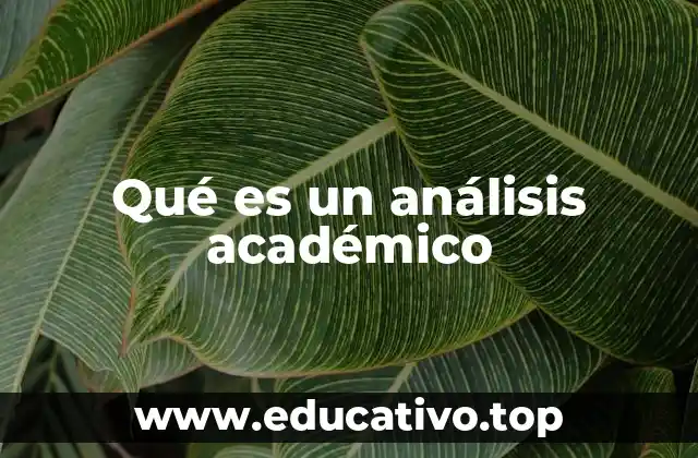 Qué es un análisis académico