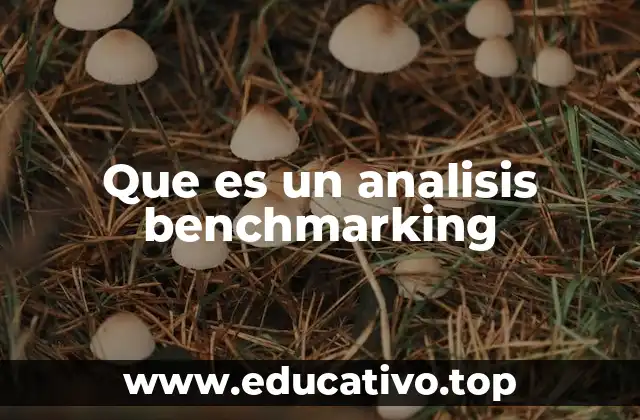 Que es un analisis benchmarking