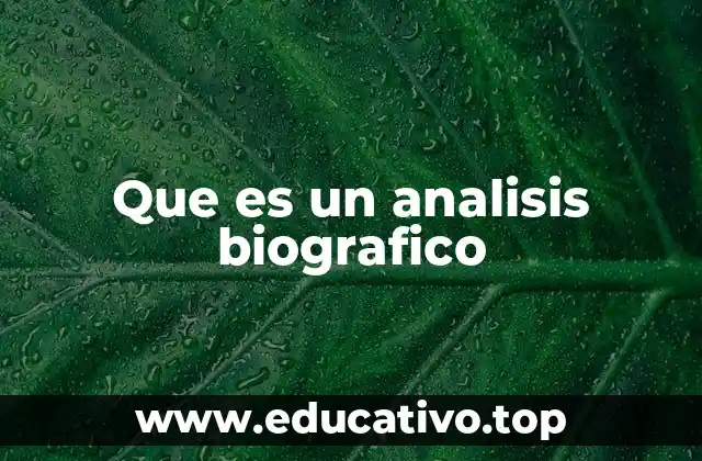 Que es un analisis biografico