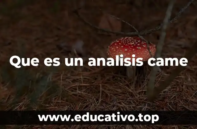 Que es un analisis came