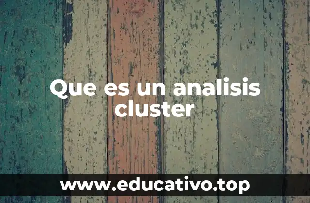 Que es un analisis cluster